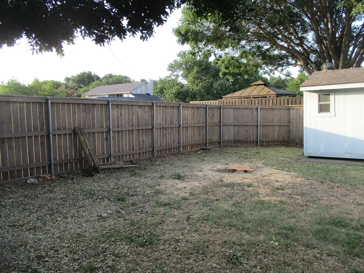 Cleared yard after professional tree removal in East Stone Gap